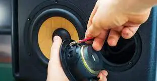 Replace The Blown Speaker