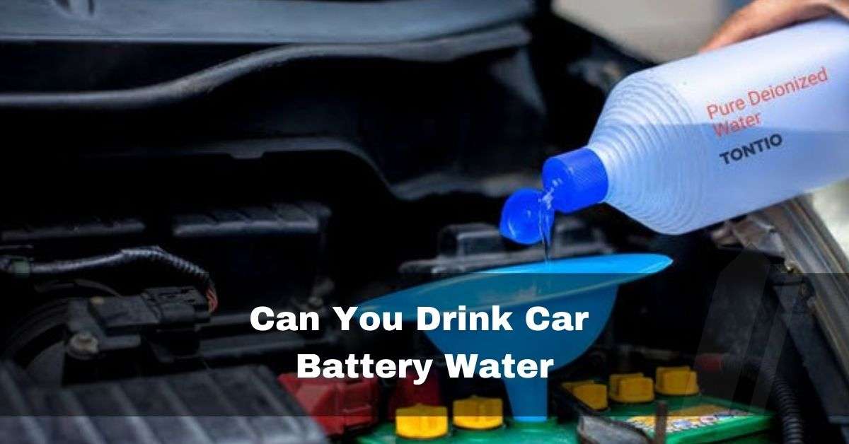 Can You Drink Car Battery Water