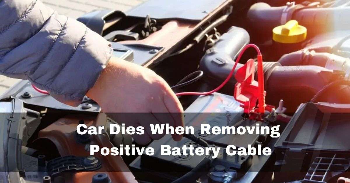 Car Dies When Removing Positive Battery Cable